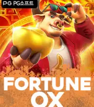 포춘 OX