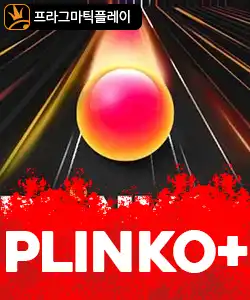 20250704095436플링코.jpg