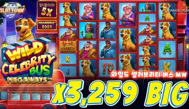 와일드 셀러브리티 버스 MW