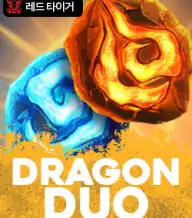 드래곤 듀오