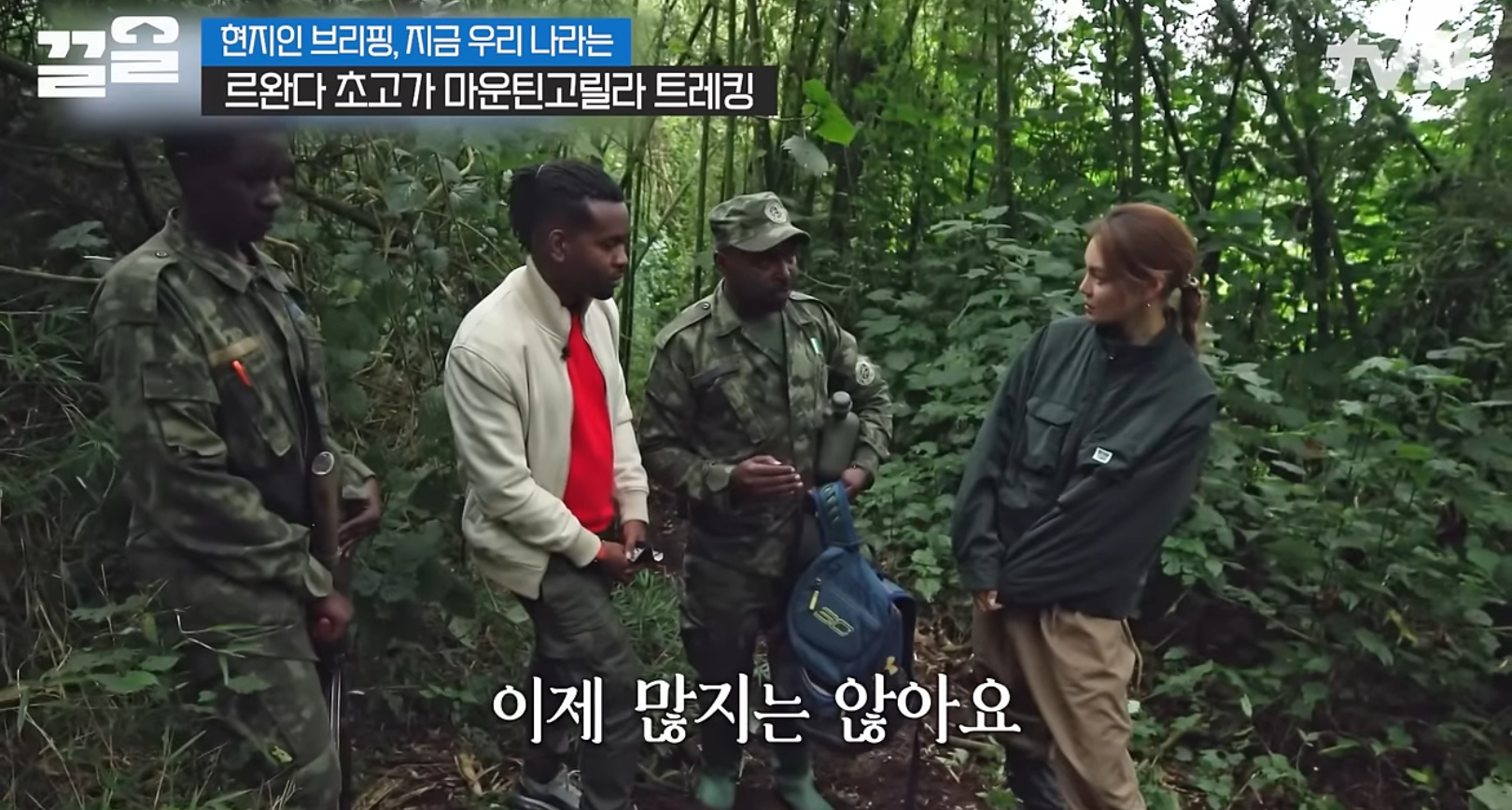 르완다에서 고릴라 밀렵꾼들이 많이 사라진 이유