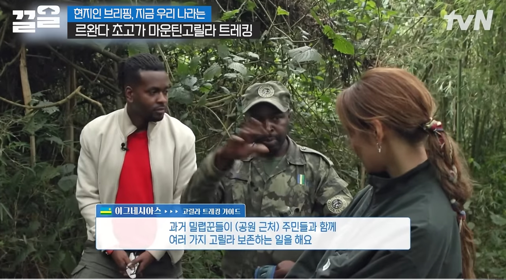 르완다에서 고릴라 밀렵꾼들이 많이 사라진 이유