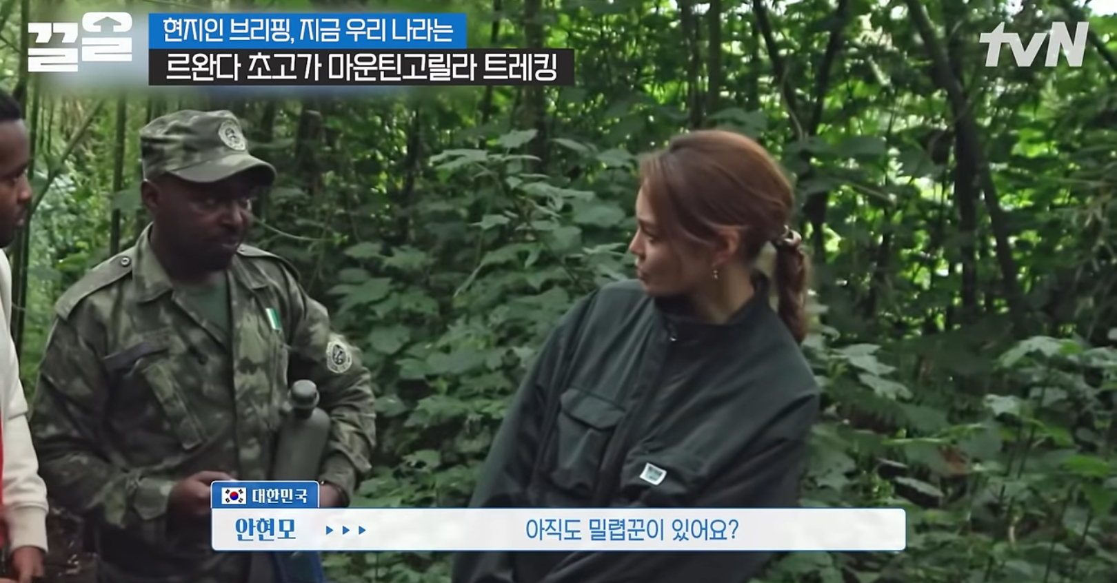르완다에서 고릴라 밀렵꾼들이 많이 사라진 이유