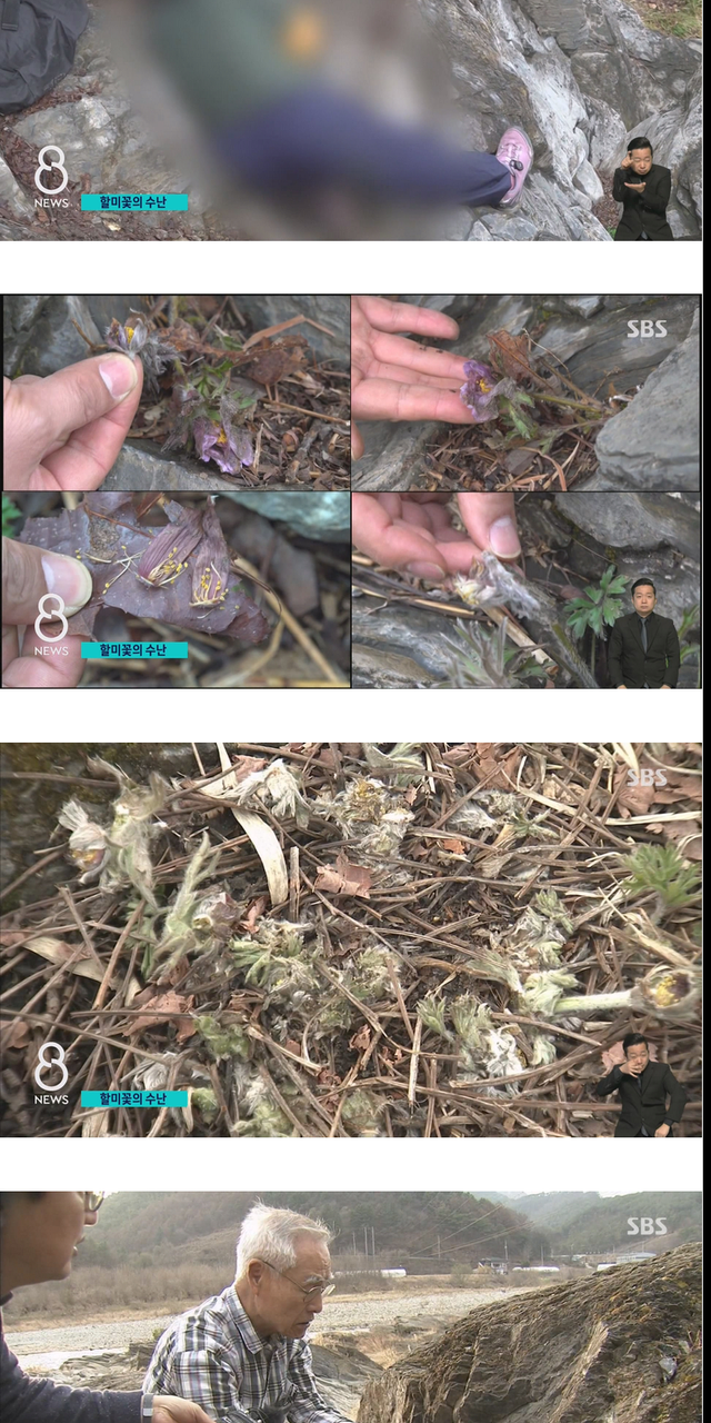 사진작가들이 사진을 찍고나서 훼손하는 이유